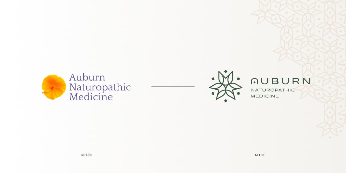 ANM logo before and after