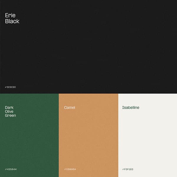 ANM colour palette