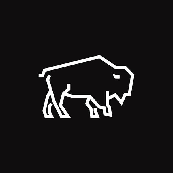 Revel bison mascot