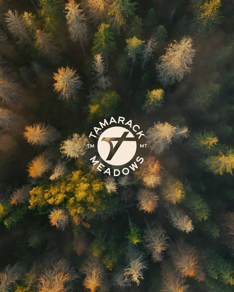 Tamarack Meadows roundel over a forest