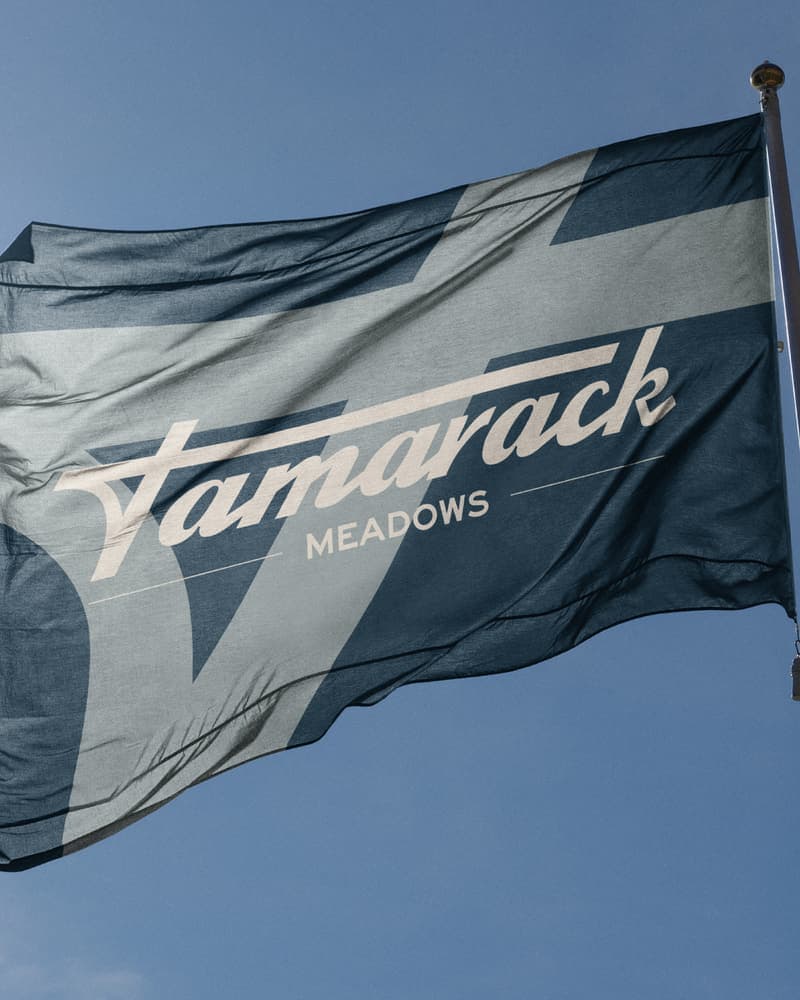 Tamarack Meadows flag against the sky
