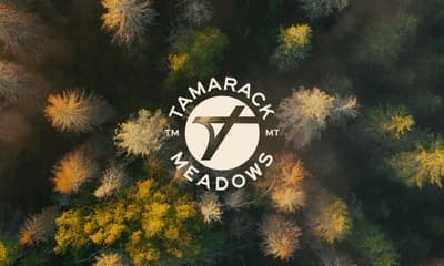 Tamarack Meadows roundel over a forest