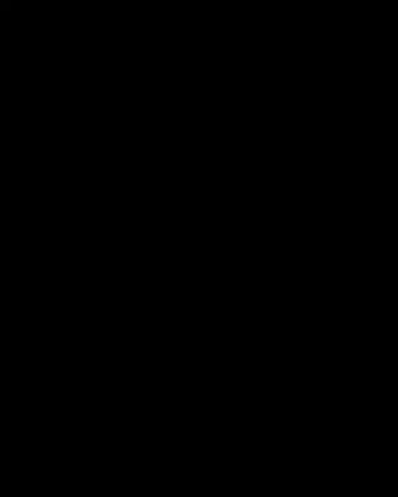 Sundance letterform drawing, animated